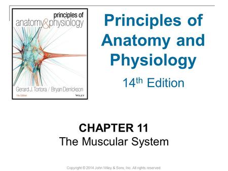 Principles of Anatomy and Physiology