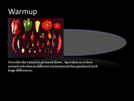 Describe the variation pictured above. Speculate as to how natural selection in different environments has produced such large differences.