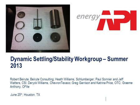 Dynamic Settling/Stability Workgroup – Summer 2013