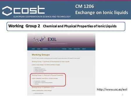 CM 1206 Exchange on Ionic liquids  Working Group 2 Chemical and Physical Properties of Ionic Liquids 1.