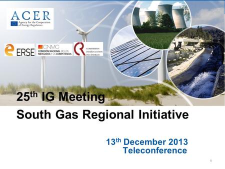 1 13 th December 2013 Teleconference 25 th IG Meeting South Gas Regional Initiative.