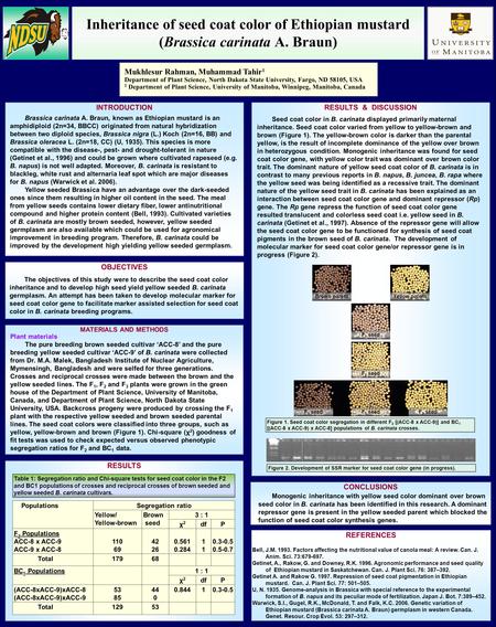 Inheritance of seed coat color of Ethiopian mustard (Brassica carinata A. Braun) Mukhlesur Rahman, Muhammad Tahir 1 Department of Plant Science, North.