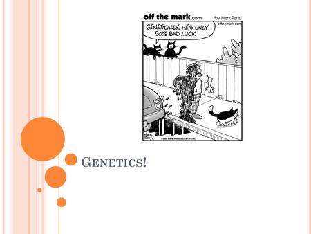 G ENETICS !. G REGORY M ENDEL Born 1822; Died 1884 Monk and a teacher Work not recognized until 1900 Studied heredity by studying pea plants What is heredity?