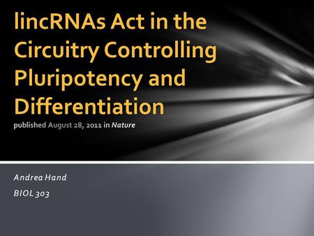 Andrea Hand BIOL 303. Large Intergenic Non-Coding RNAs Intergenic Non-Coding: transcribed from a region of DNA between two genes that are used to make.