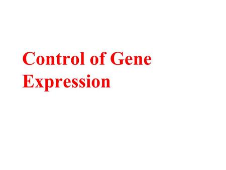 Control of Gene Expression. A mammalian neuron and a lymphocyte. The long branches of this neuron from the retina enable it to receive electrical signals.