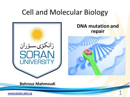 Cell and Molecular Biology