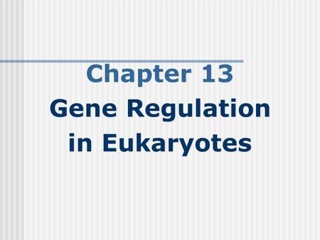 Chapter 13 Gene Regulation in Eukaryotes.