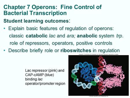 Chapter 7 Operons: Fine Control of Bacterial Transcription