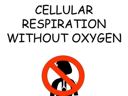 CELLULAR RESPIRATION WITHOUT OXYGEN