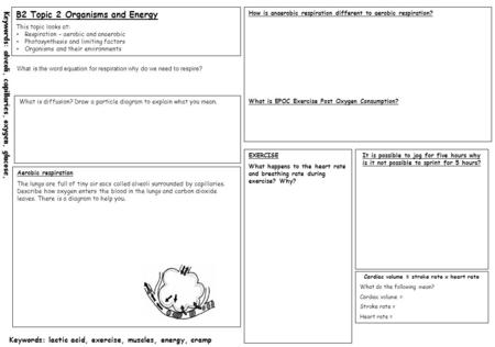 Keywords: alveoli, capillaries, oxygen, glucose, Keywords: lactic acid, exercise, muscles, energy, cramp B2 Topic 2 Organisms and Energy This topic looks.