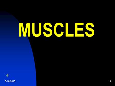 5/10/20151 MUSCLES 5/10/20152 The human body 5/10/20153 Did anyone see the Jets play on Sunday? Before you start any activity, what should you do first??