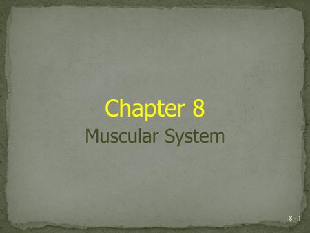 Chapter 8 Muscular System.