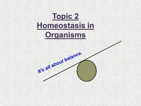 Homeostasis in Organisms