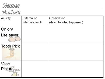 ActivityExternal or Internal stimuli Observation (describe what happened) Onion/ Life saver Tooth Pick Vase Picture.