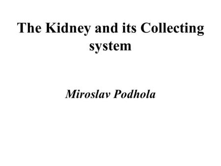 The Kidney and its Collecting system Miroslav Podhola.