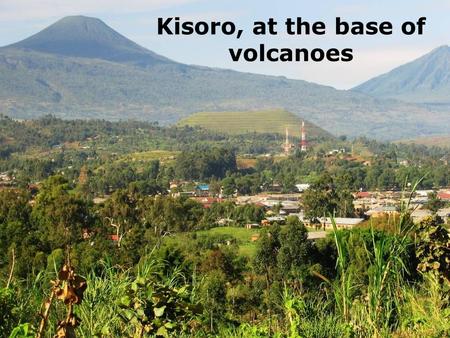 Kisoro, at the base of volcanoes. There are various ways of reaching Kisoro from Kampala, some more appealing than others!