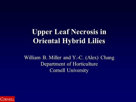 Upper Leaf Necrosis in Oriental Hybrid Lilies William B. Miller and Y.-C. (Alex) Chang Department of Horticulture Cornell University.