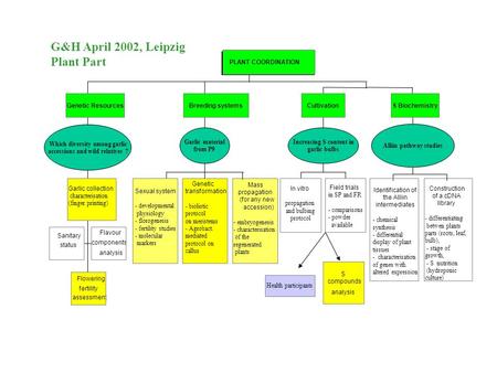 Sanitary status Flavour components analysis Flowering fertility assessment Genetic Resources Sexual system - developmental physiology - florogenesis -