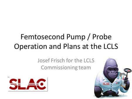 Femtosecond Pump / Probe Operation and Plans at the LCLS