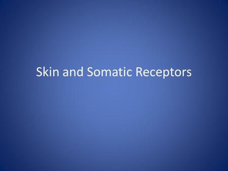 Skin and Somatic Receptors. Epidermis Epidermal Layers Stratum Corneum Stratum Lucidum Stratum Granulosum Stratum Spinosum Stratum Basale (Melanin.