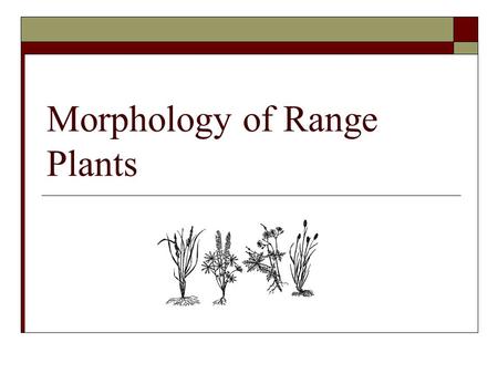 Morphology of Range Plants