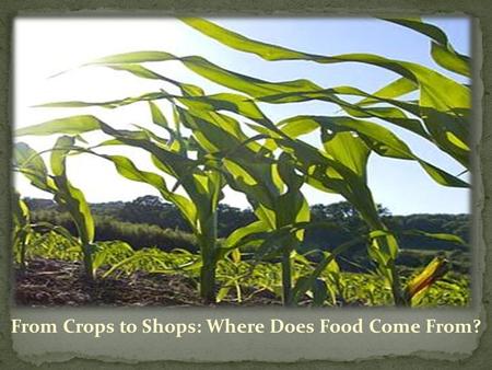 From Crops to Shops: Where Does Food Come From?. Application Process 3 of Weeks Professional Development 5 Week Externship.