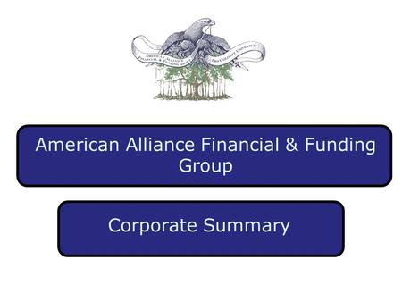 American Alliance Financial & Funding Group Corporate Summary.