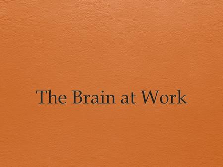 Themes  Stress and learning  Learning and physical health  Novelty  Relevance/emotion  The adolescent brain  Short-term memory and assessment 