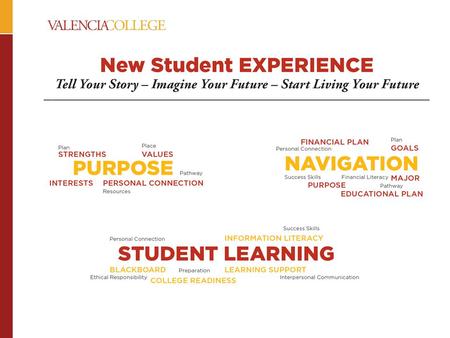 QEP/NSE Timeline Topic Development and Articulation.