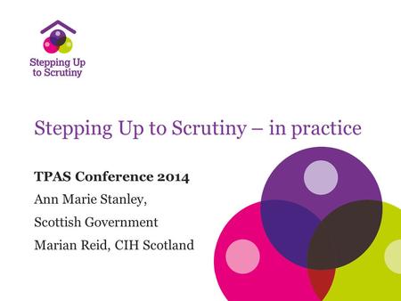 Stepping Up to Scrutiny – in practice