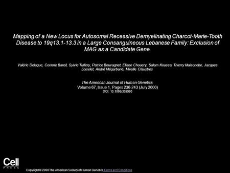 Mapping of a New Locus for Autosomal Recessive Demyelinating Charcot-Marie-Tooth Disease to 19q13.1-13.3 in a Large Consanguineous Lebanese Family: Exclusion.