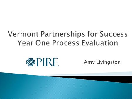 Amy Livingston.  Process evaluation focuses on assessing and documenting grantees’ : ◦ Partnerships and capacity building ◦ Assessment and planning ◦