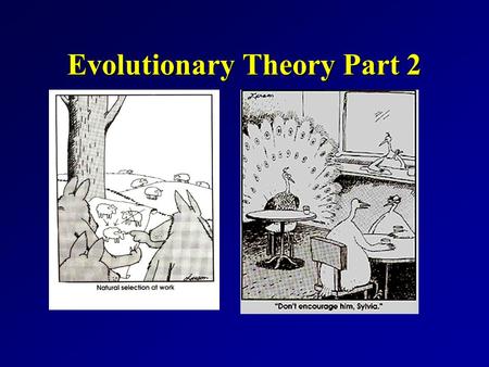 Evolutionary Theory Part 2. Goals for today... Kin selection and reciprocal altruismKin selection and reciprocal altruism How do you assess adaptive value.