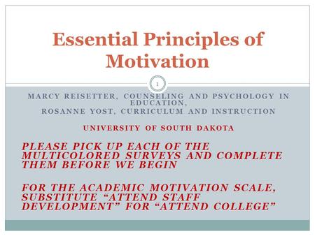 MARCY REISETTER, COUNSELING AND PSYCHOLOGY IN EDUCATION, ROSANNE YOST, CURRICULUM AND INSTRUCTION UNIVERSITY OF SOUTH DAKOTA PLEASE PICK UP EACH OF THE.