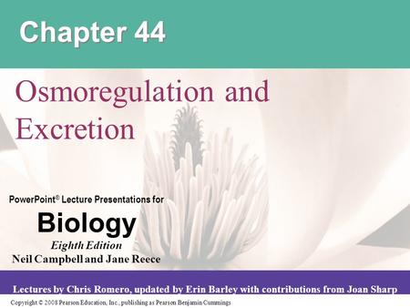 Osmoregulation and Excretion