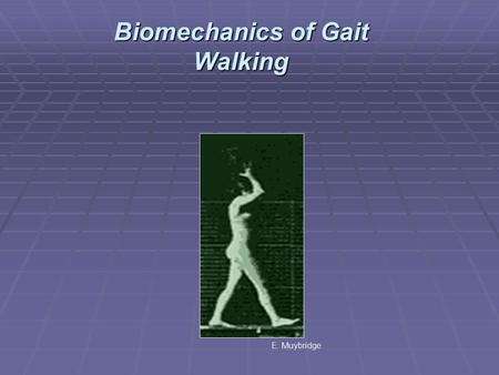 Biomechanics of Gait Walking