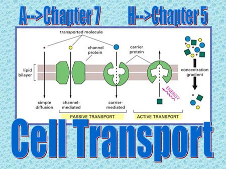 Transport of substances across a membrane without any input of energy by the cell. a. Diffusion b. Osmosis.