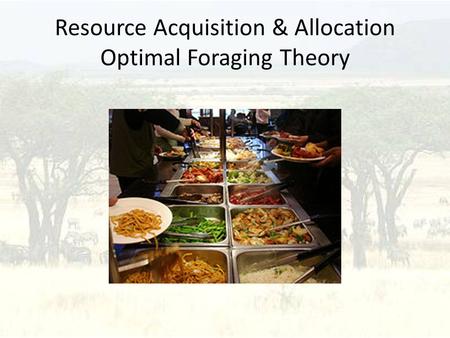 Resource Acquisition & Allocation Optimal Foraging Theory.