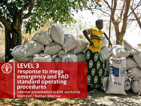 LEVEL 3 informal presentation to RNE workshop emergency and FAO response to mega standard operating procedures Matt Keil / Nathan Morrow 1.