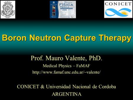 Boron Neutron Capture Therapy