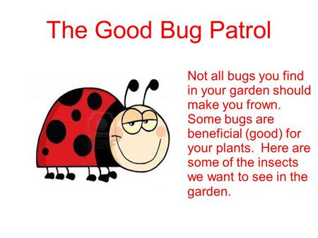 The Good Bug Patrol Not all bugs you find in your garden should make you frown. Some bugs are beneficial (good) for your plants. Here are some of the.