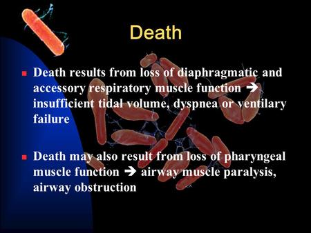 Death Death results from loss of diaphragmatic and accessory respiratory muscle function  insufficient tidal volume, dyspnea or ventilary failure Death.