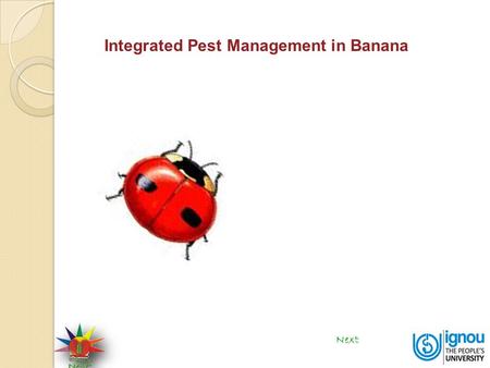 Integrated Pest Management in Banana Next. Integrated Pest Management in Banana Biocontrol is the reduction of disease producing activity of a pathogen.