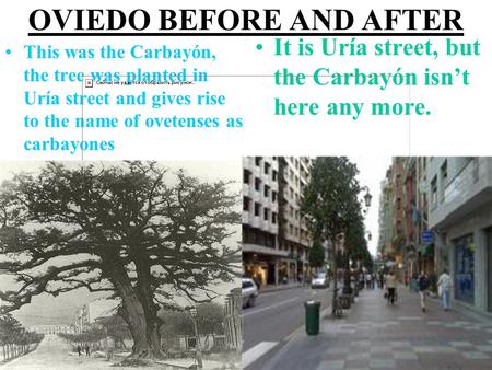 OVIEDO BEFORE AND AFTER This was the Carbayón, the tree was planted in Uría street and gives rise to the name of ovetenses as carbayones It is Uría street,