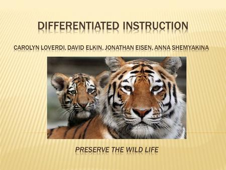 Differentiated Instruction