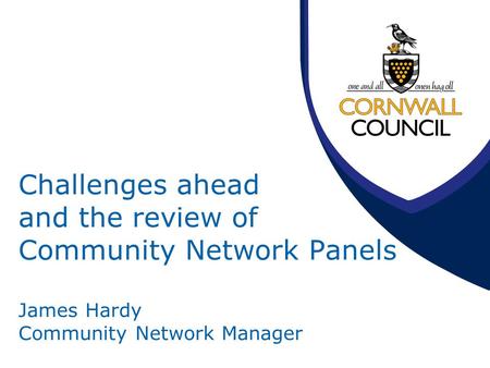 Challenges ahead and the review of Community Network Panels James Hardy Community Network Manager.