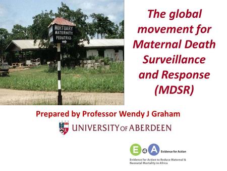 The global movement for Maternal Death Surveillance and Response