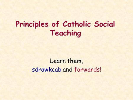 Principles of Catholic Social Teaching