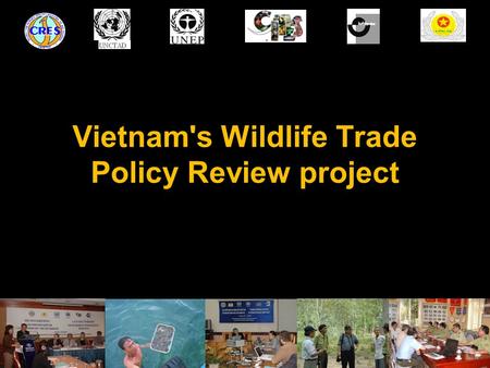 Vietnam's Wildlife Trade Policy Review project. Vietnam’s WLT Policy Review project The wildlife trade policy review was undertaken within 2007-2008 with.