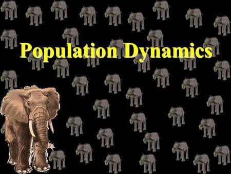 Population Dynamics.